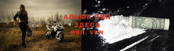 ешки Алексин