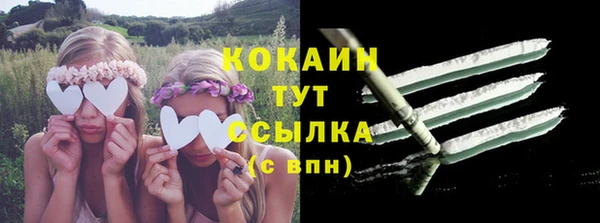 стаф Алзамай
