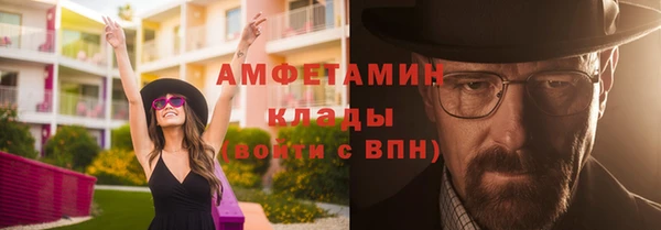 стаф Алзамай