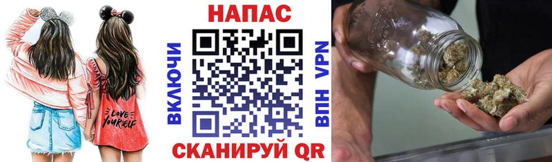 Каннабис сатива  Алексеевка 